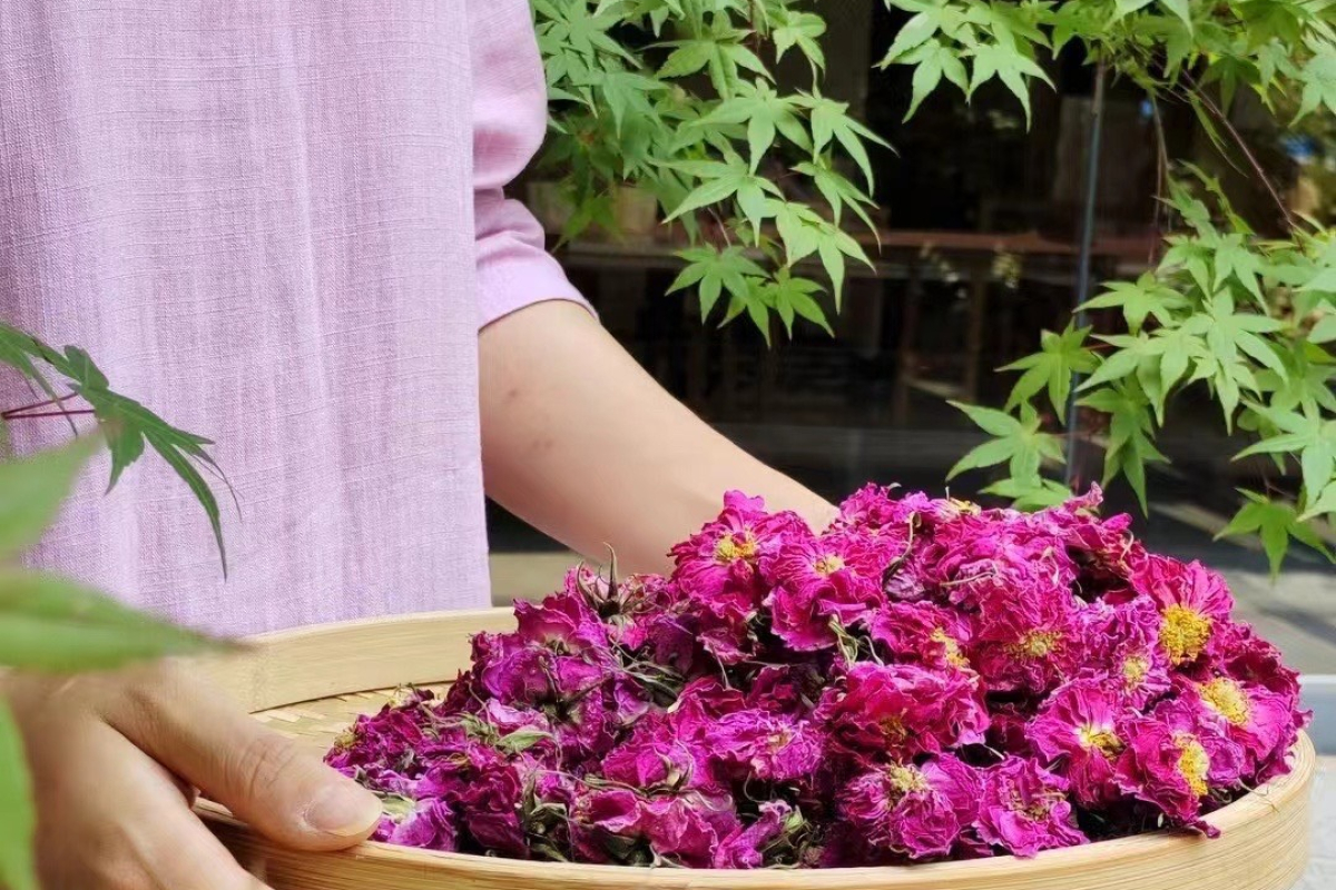 大馬士革玫瑰花