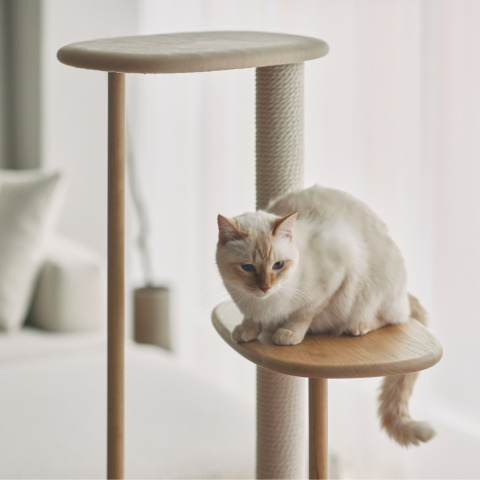 KARIMOKU CAT TREE 貓咪室內跳台