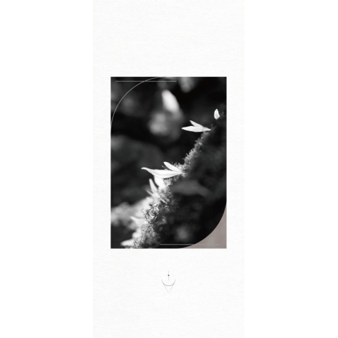 適物所 - 覺知牌卡 攝影創作