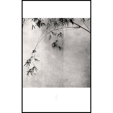 張志輝 風景黑白攝影作品