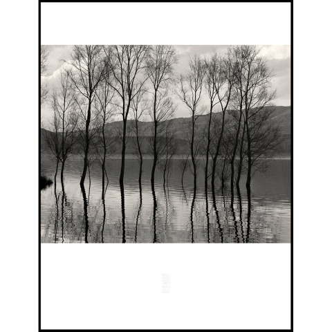 張志輝 風景黑白攝影作品