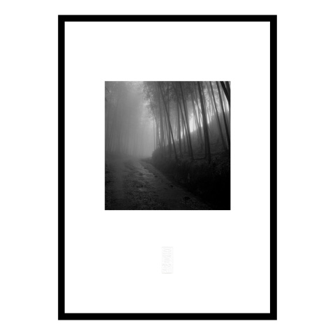 張志輝黑白風景攝影作品No.B02