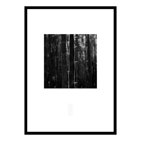 張志輝黑白風景攝影作品No.B03