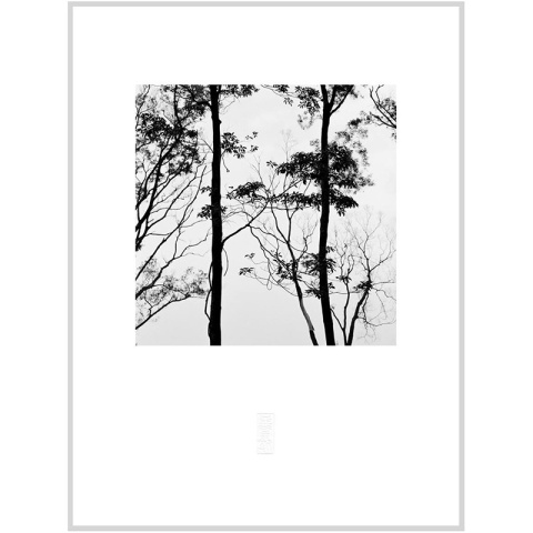 張志輝黑白風景攝影作品No.02