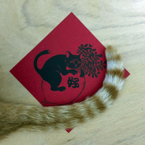 《好彩頭》菜頭 新年春聯