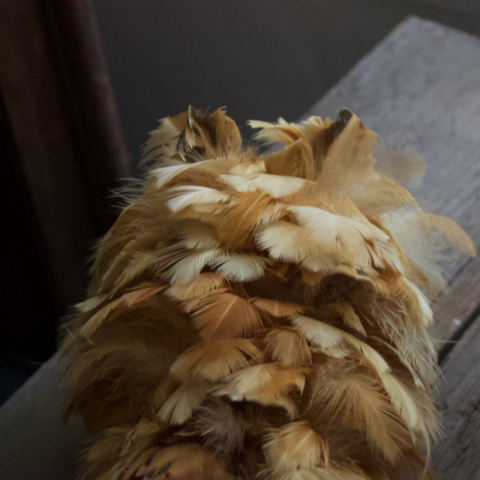 傳統雞毛撢子（母雞羽毛）