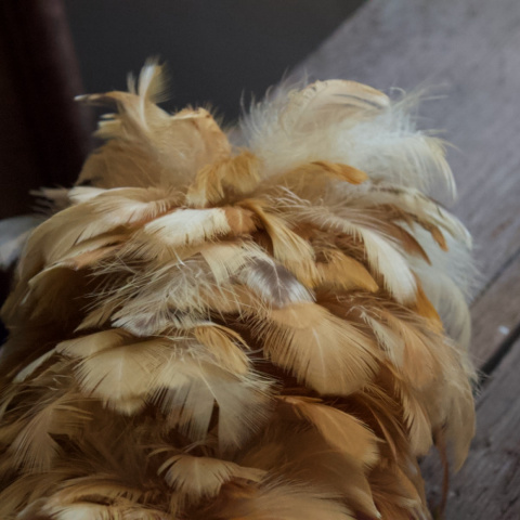 傳統雞毛撢子（母雞羽毛）