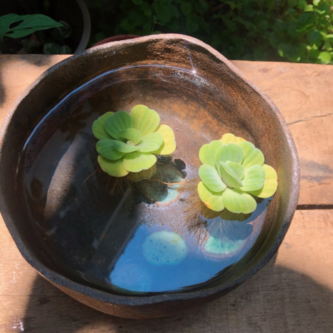 石梯窯 - 大陶碗