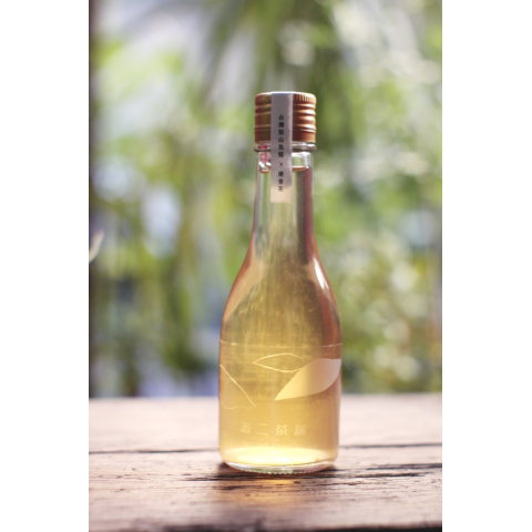 梨山康普茶烏龍茶