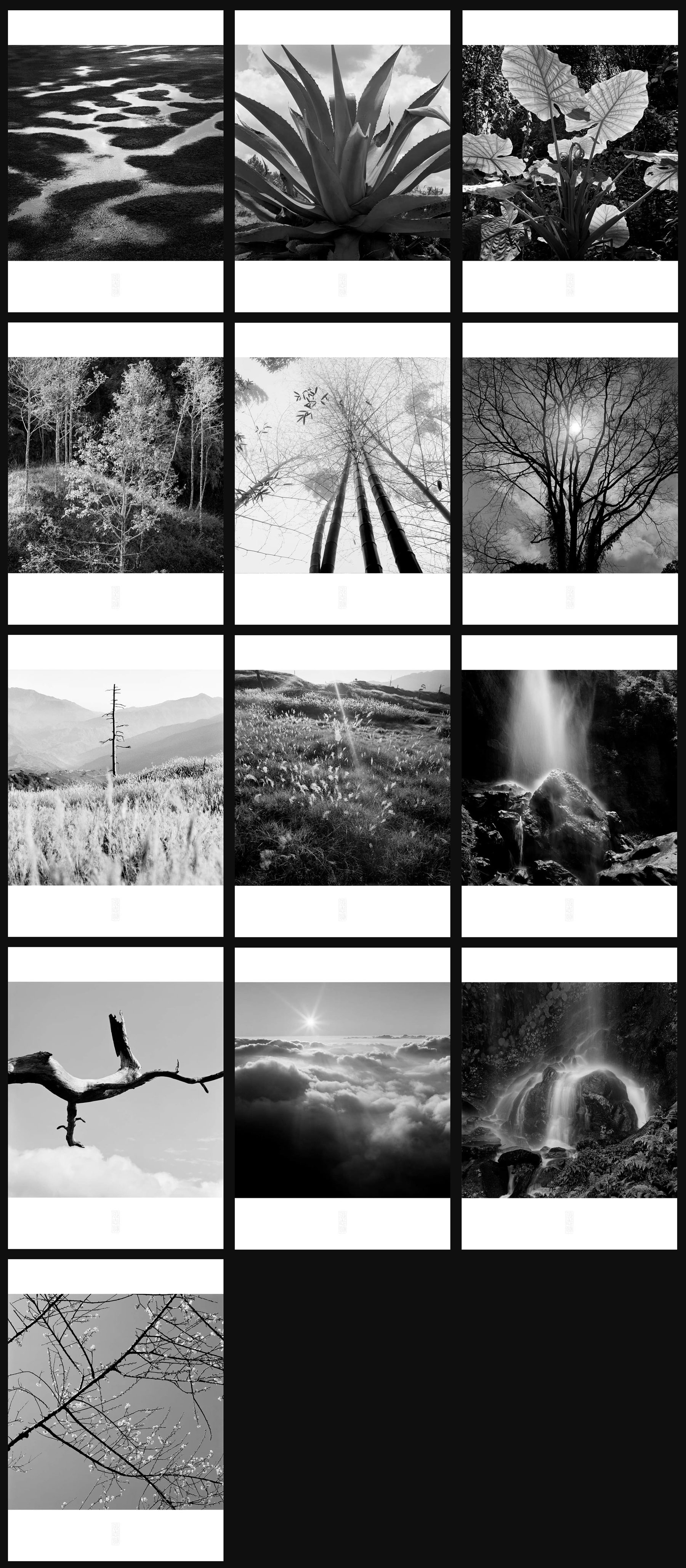 張志輝黑白風景攝影2022