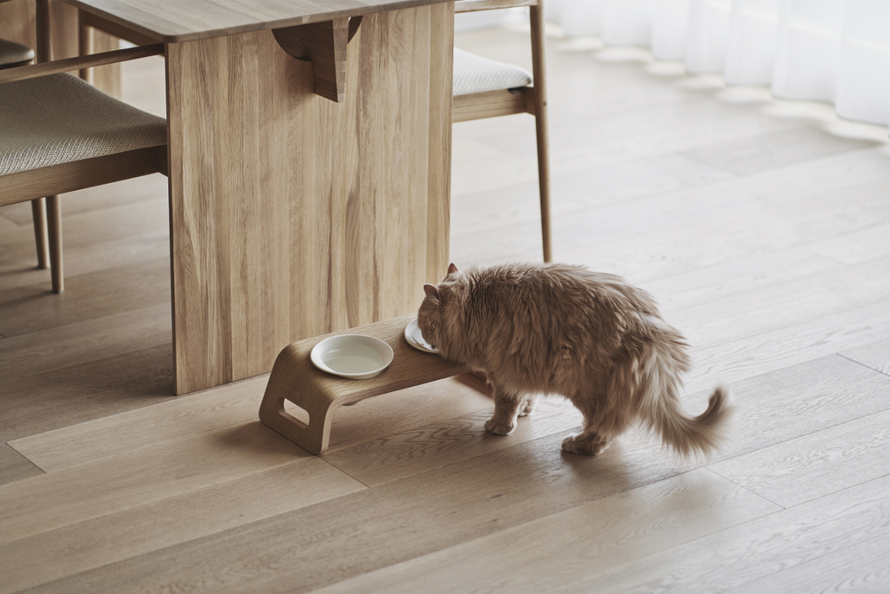 KARIMOKU CAT TABLE 貓餐桌