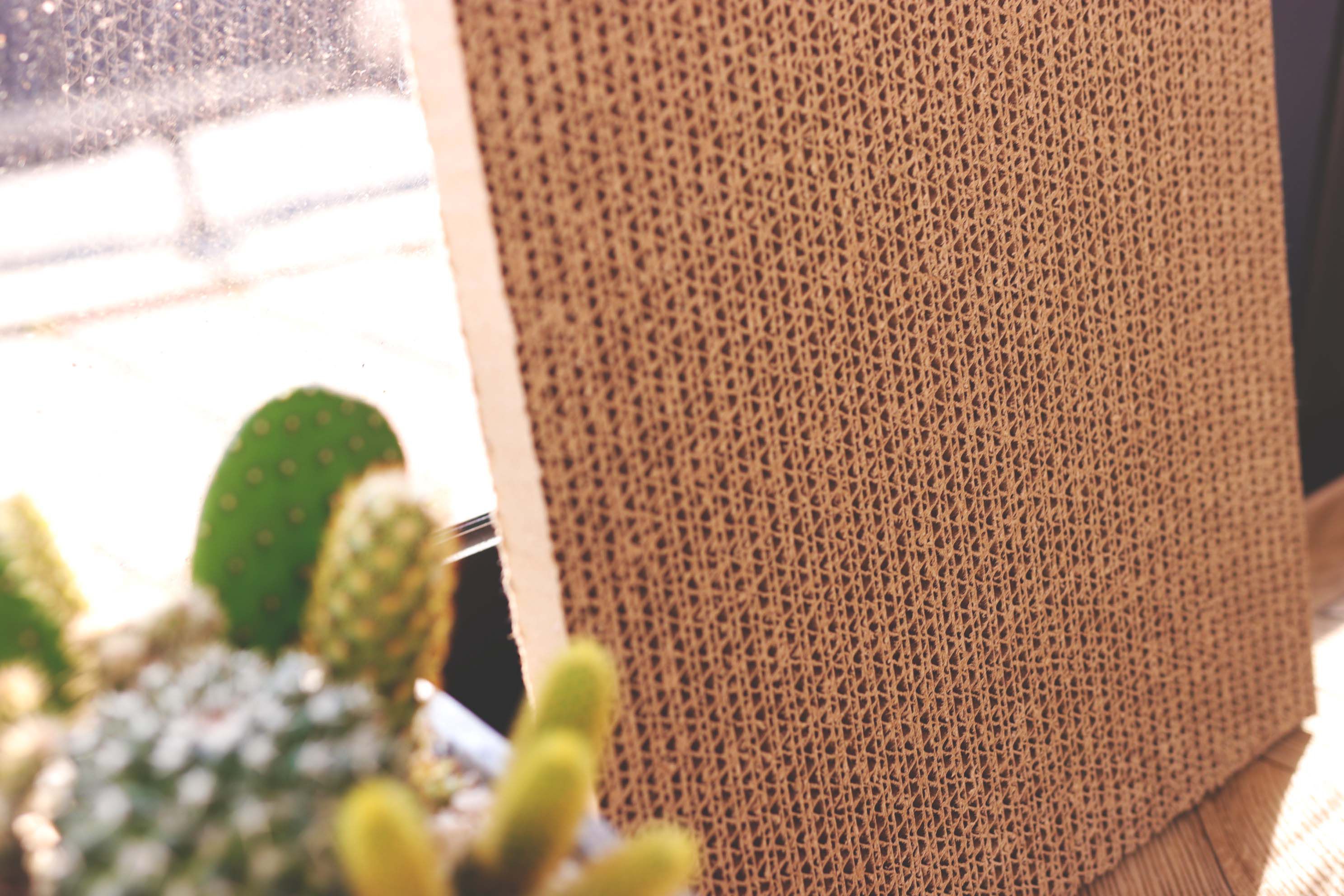 洛陽紙櫃 爬爬貓 貓抓板