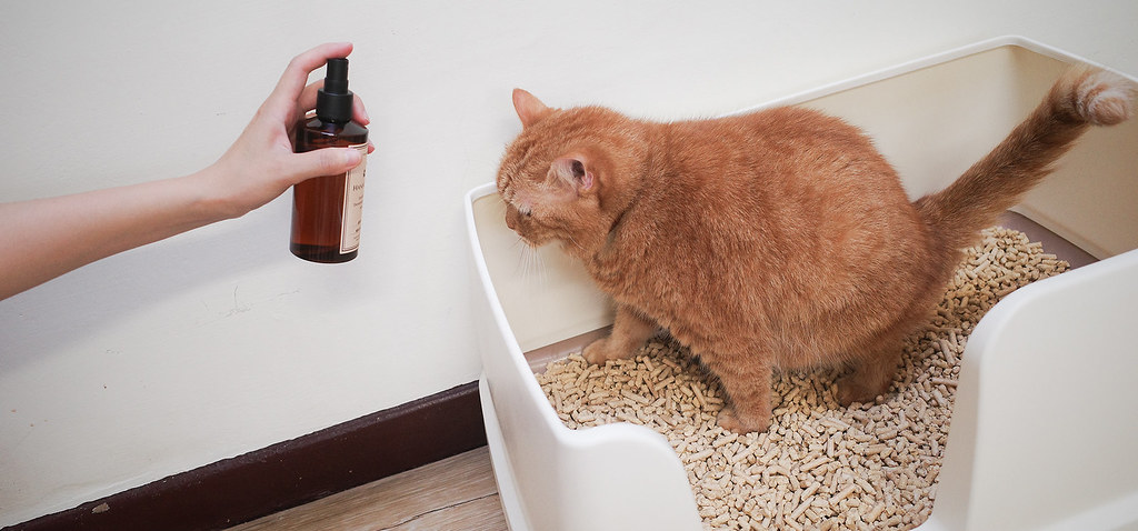 寵物友善 居家除臭噴霧