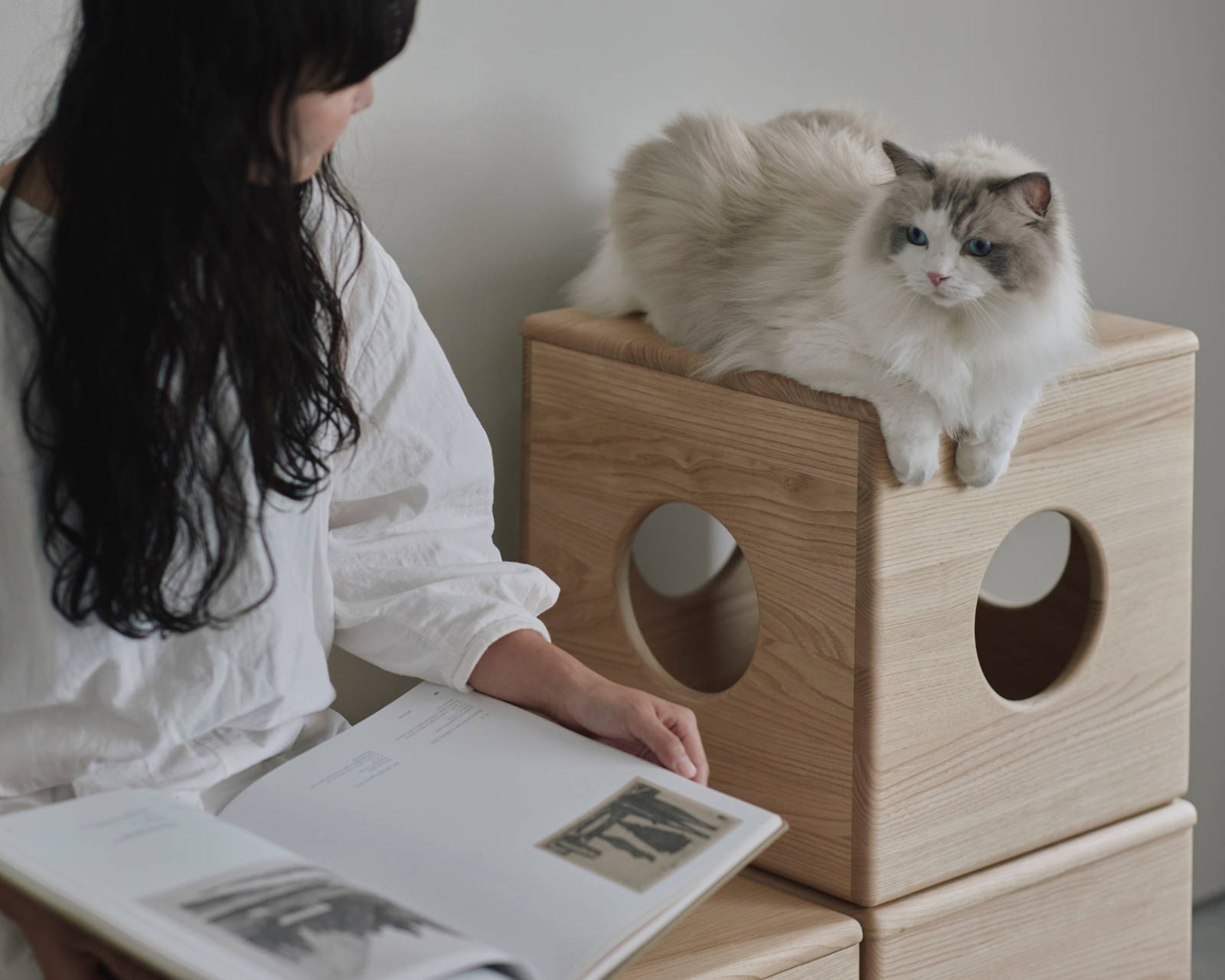 KARIMOKU CAT NEST 貓窩