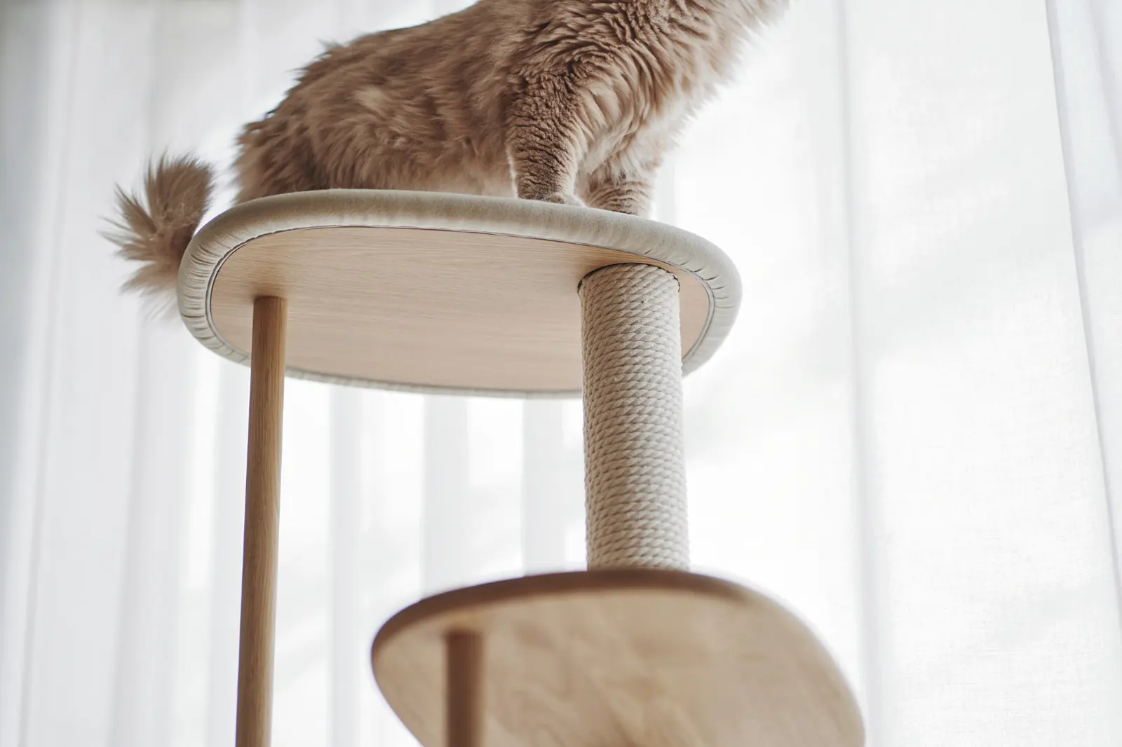 KARIMOKU CAT TREE 貓咪跳台設計