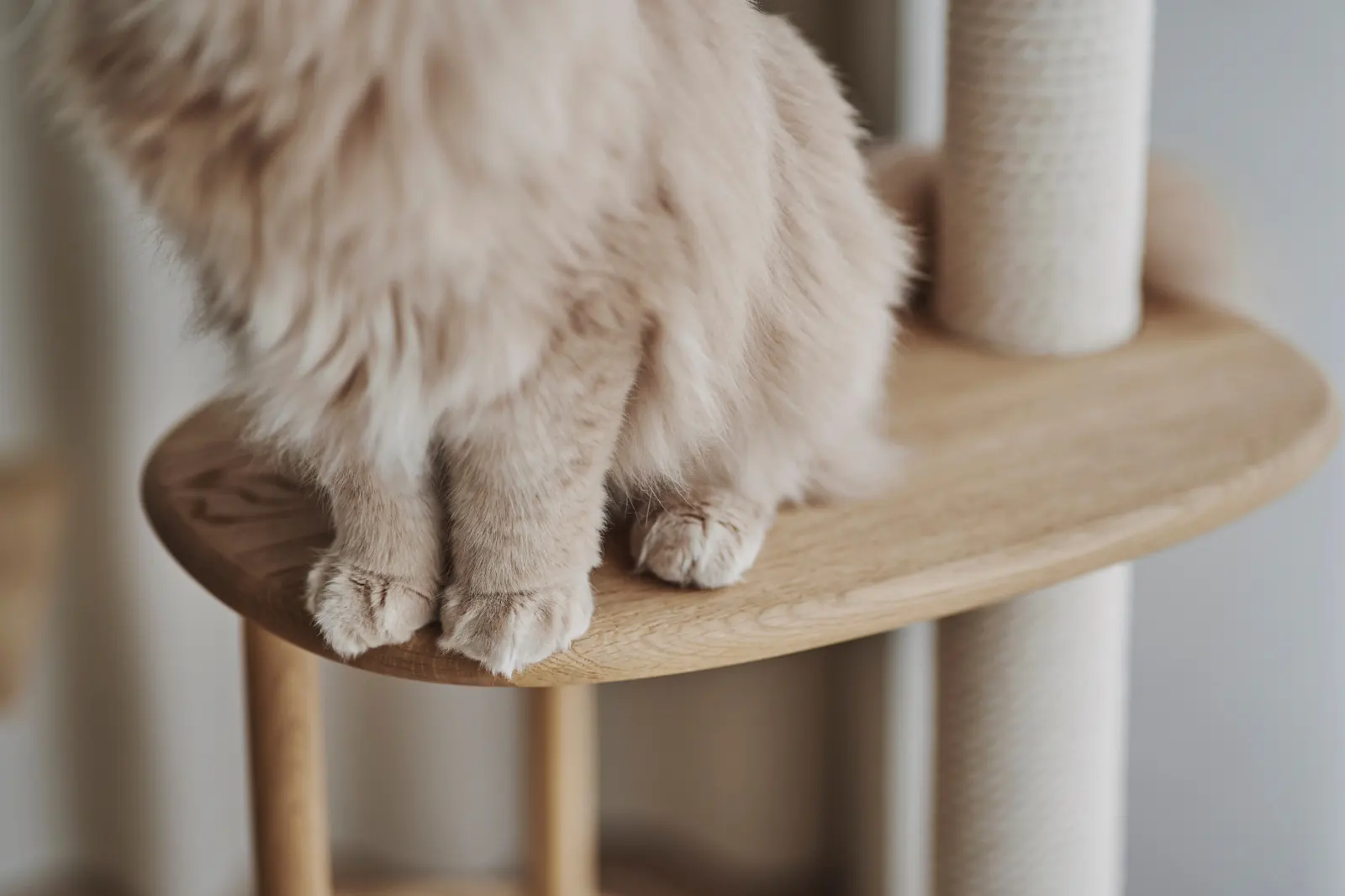 KARIMOKU CAT TREE 貓跳台 日本浮文加工工藝