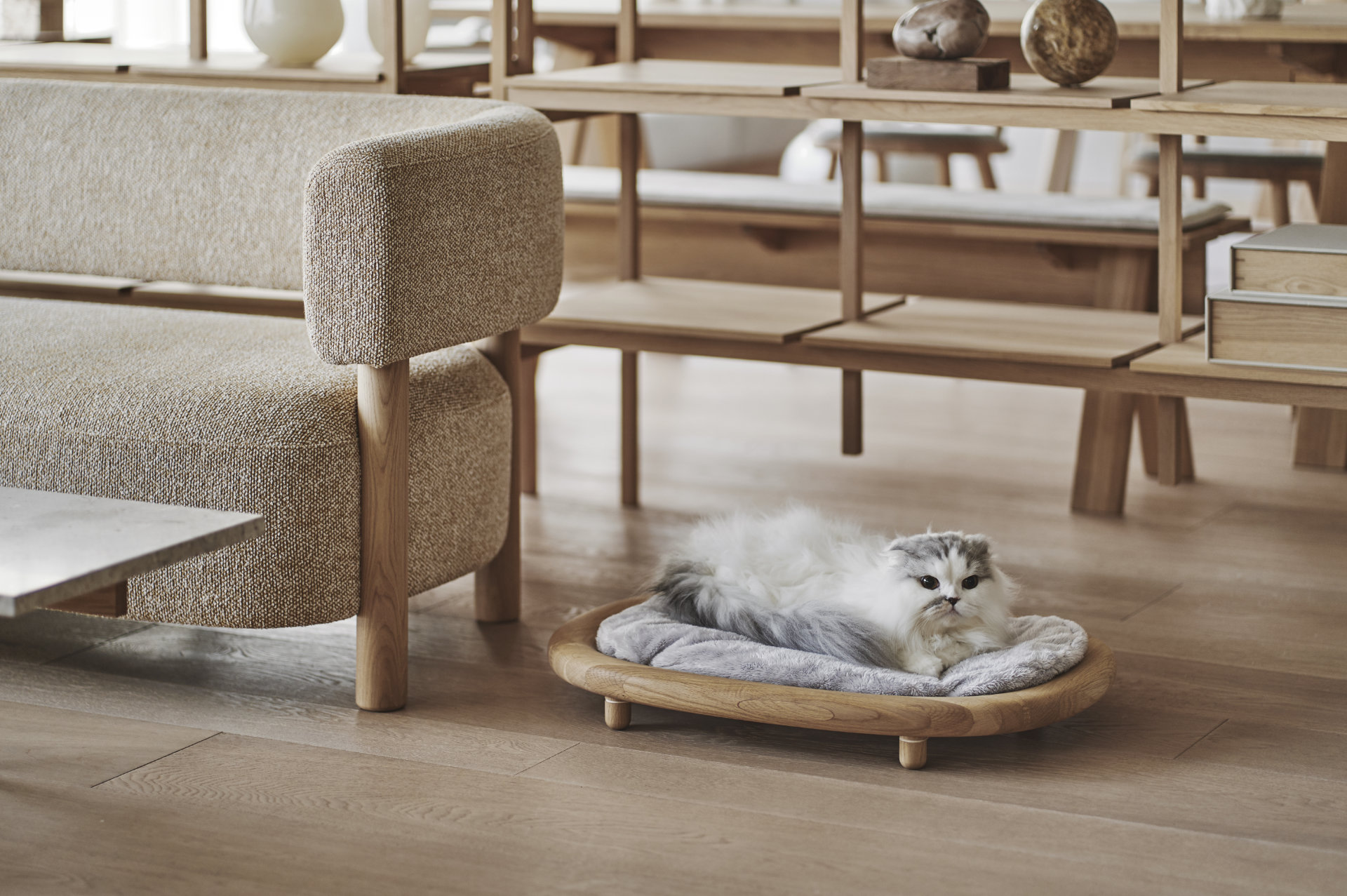 KARIMOKU CAT