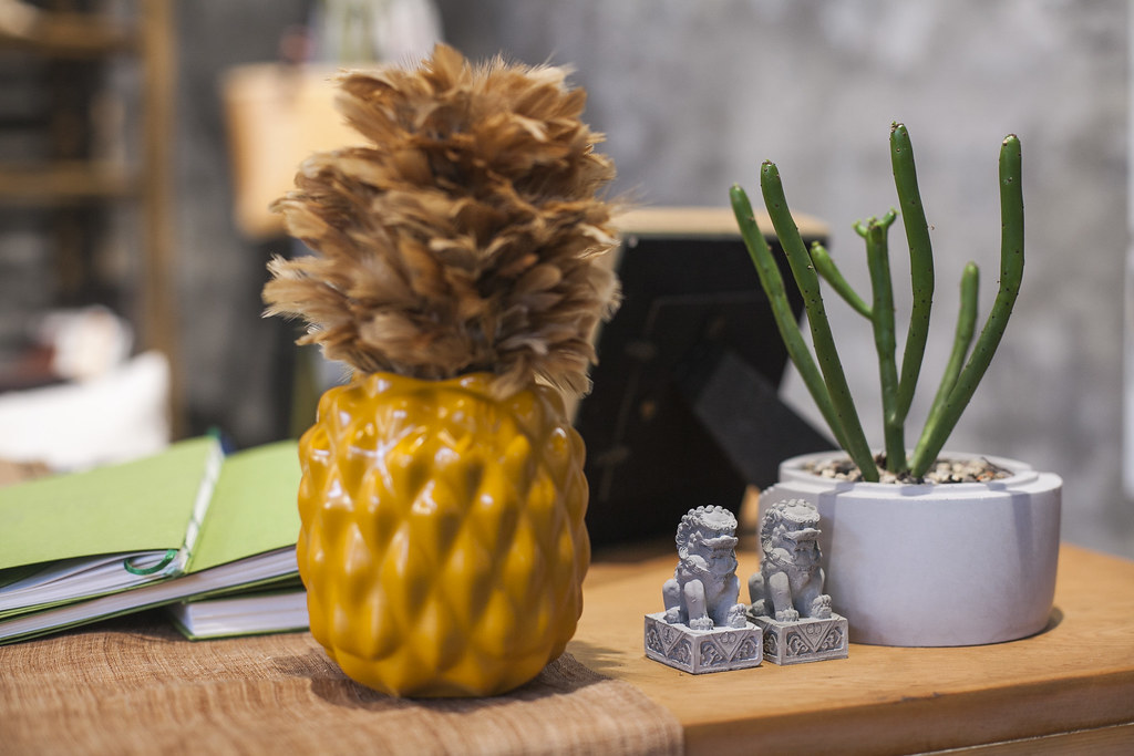 Hands 鳳梨旺旺雞毛撣子