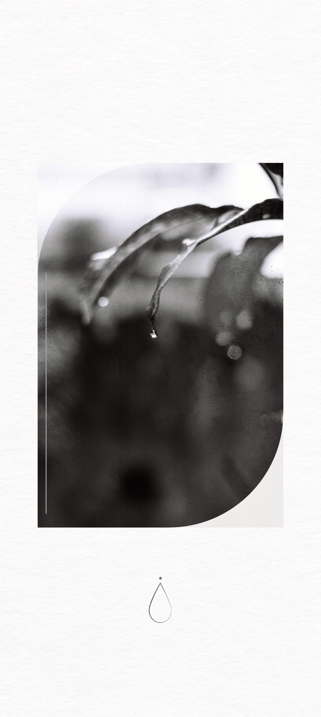 楊慧蘋 覺知牌卡