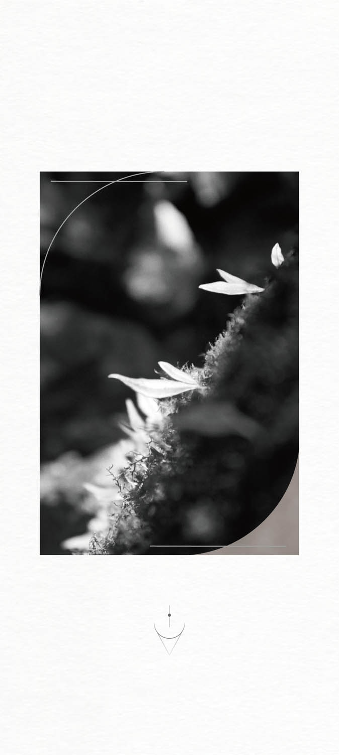 適物所 - 覺知牌卡 攝影創作