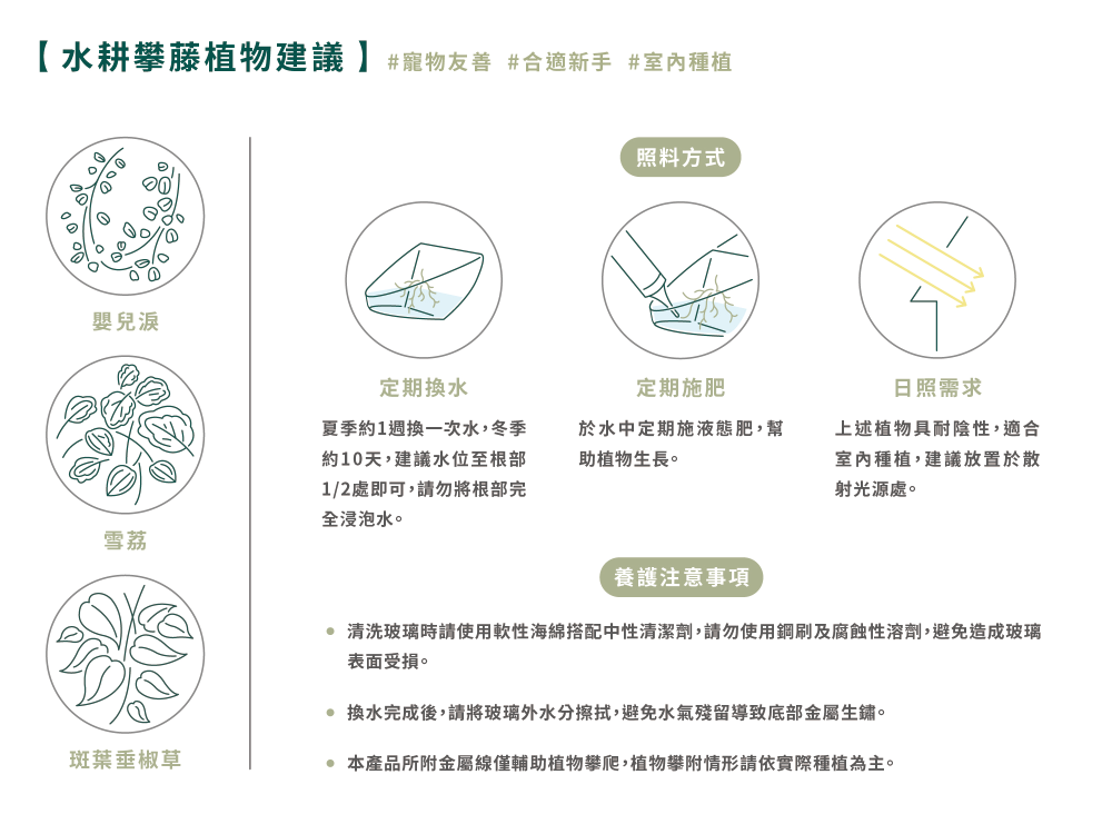 寵物骨灰盒｜水耕系列 一葉舟 